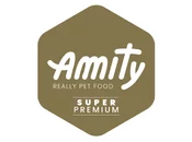 logo amity