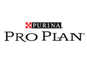 logo pro plan