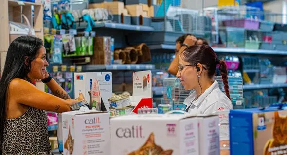 servicios 2